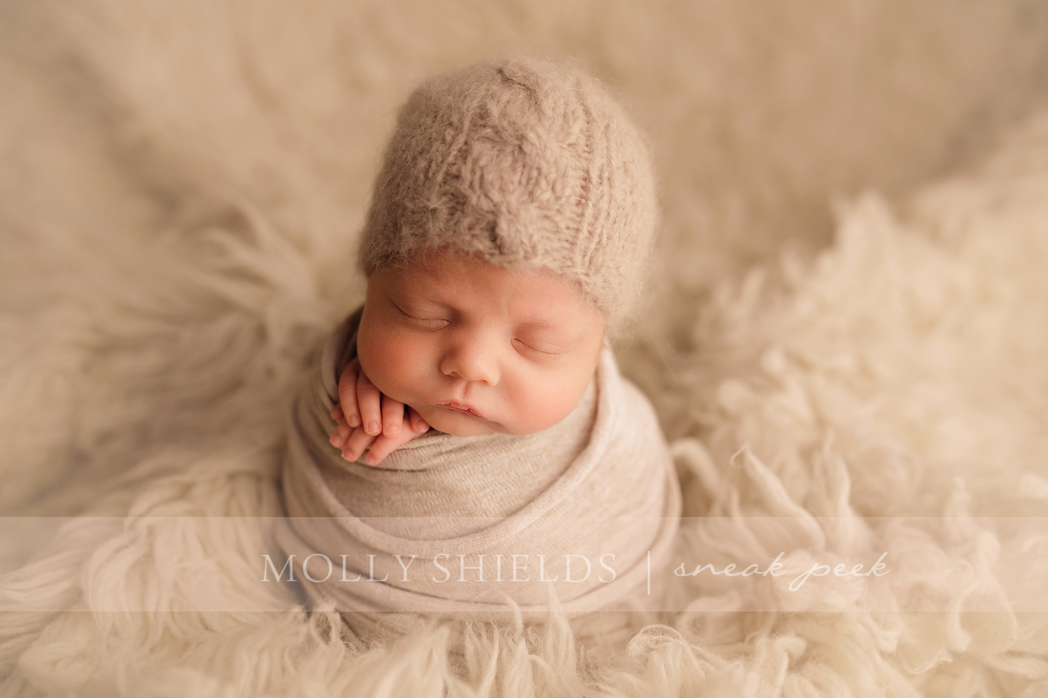 Minneapolis newborn twin photographer