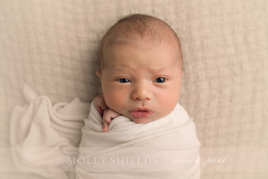 Minneapolis Maternity and Newborn Photographer