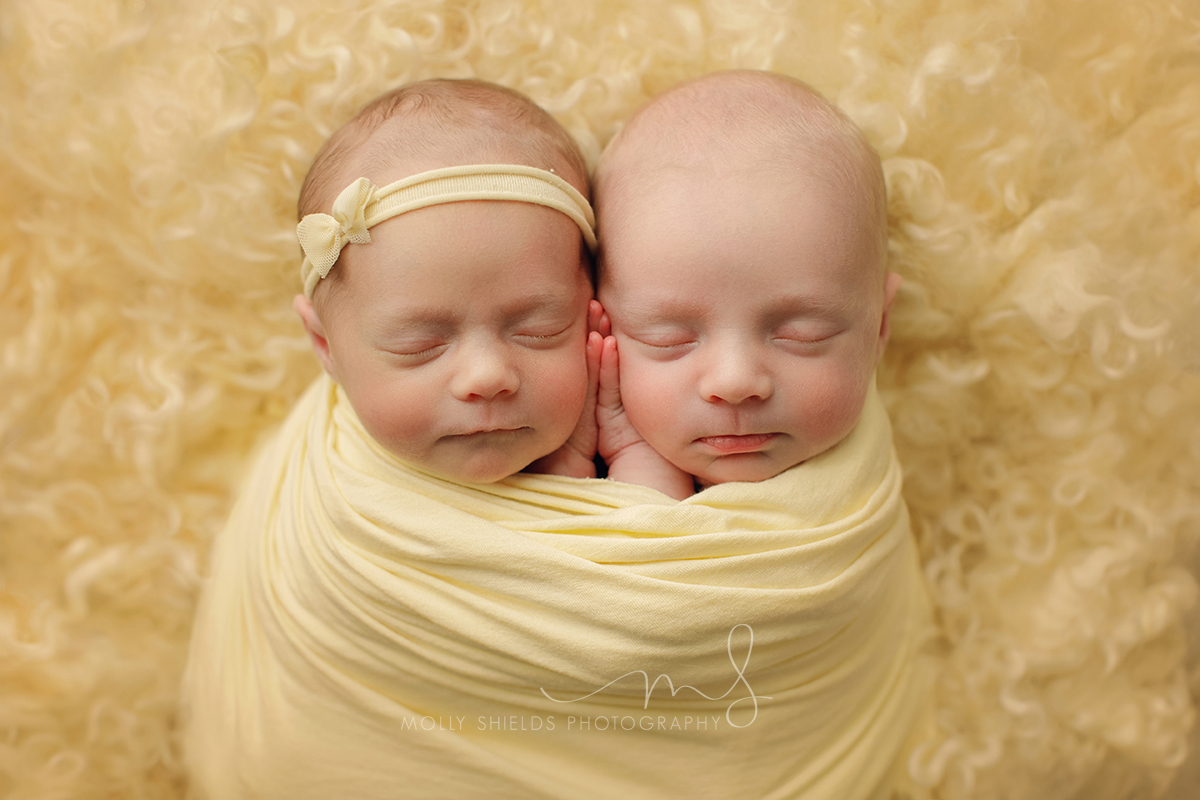 Minneapolis Twin Newborn Photographer