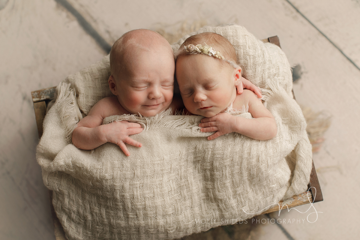 Minneapolis Twin Newborn Photographer
