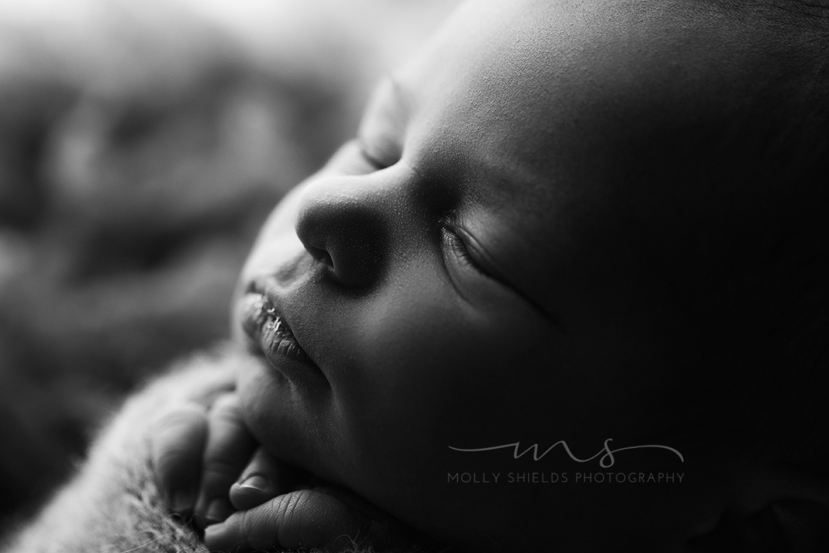 Minneapolis Newborn Photographer