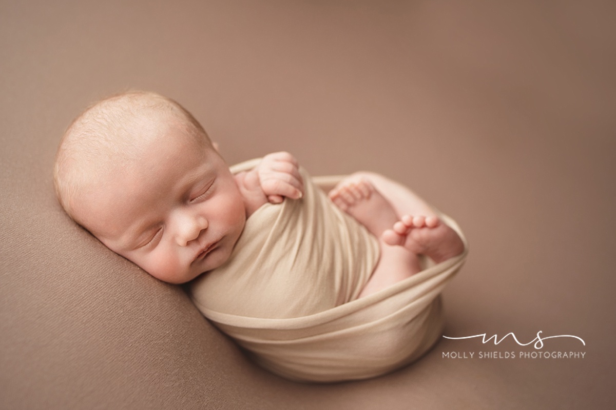 Minneapolis Newborn Photographer Molly Shields Photography