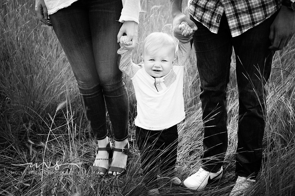Minneapolis Baby & family Photographer Molly Shields Photography