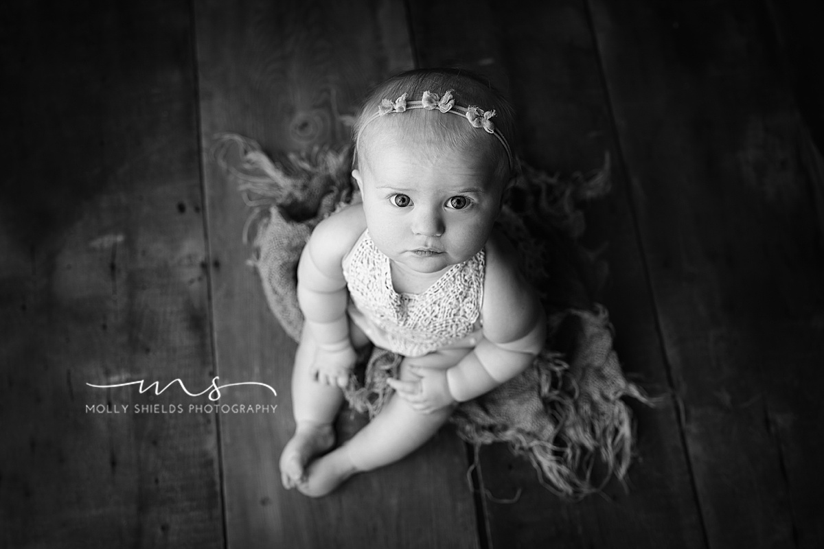 Minneapolis baby Photographer Molly Shields Photography