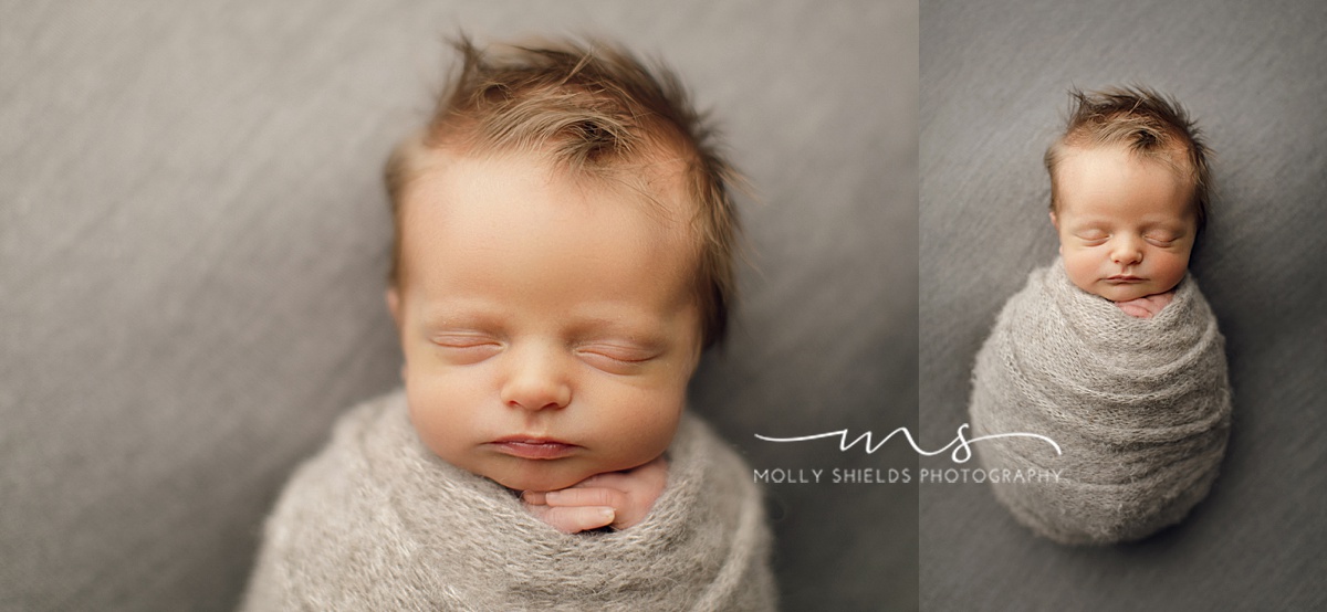 Minneapolis Maternity and Newborn Photographer Molly Shields Photography