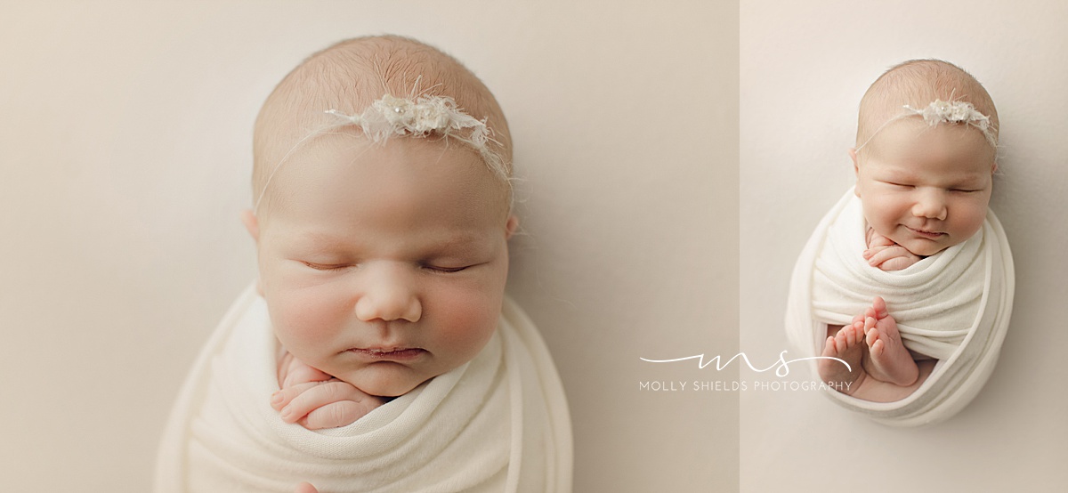 Minneapolis newborn Photographer Molly Shields Photography